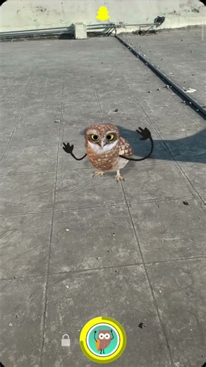 funny viral owl dance 😂. #funnyshorts #trendingshorts #viralvideo #owl #funny #jumpstyle