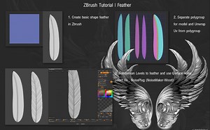 Zbrush 2020制作羽毛教程全流程