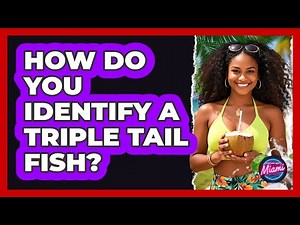 How Do You Identify a Triple Tail Fish?
