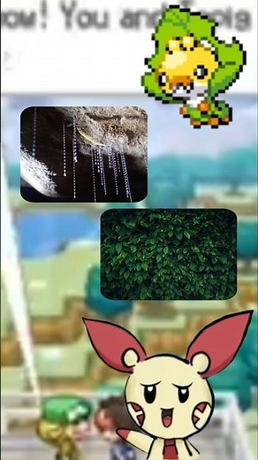 Facts about Sewaddle the Sewing Pokémon // Pokemon facts