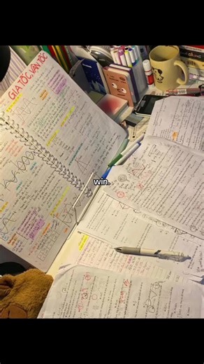 Study Aesthetic Tips for Maximum Motivation