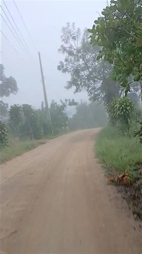 manhã com muita neblina em Santana do Mundaú AL #viagens #mundo #lugares #campo #rural