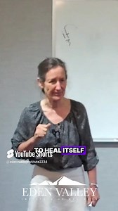 Could the human body heal itself if given the right conditions?...