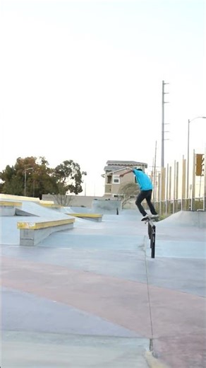 feeble grind 180 normandale skate park