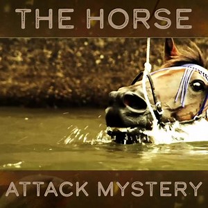 320K views · 2.7K reactions | After hearing the story of a horse bitten by an unidentified river monster, Jeremy Wade decides to do some investigating... | River Monsters Global | Facebook