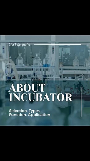 【About Incubator 】 Do you know about incubator? In microbe laboratory, incubator is an important equipment which is used to cultivate the microorganisms under an artificial conditions. It helps to maintain the optimal condition to support the growth of microbial cultures 🦠🦠 In this sharing, let's learn more about incubator! 1️⃣ Function 2️⃣ Selection 3️⃣ Functions 4️⃣Applications 5️⃣Types Let's learn now! 👩‍🔬🧑‍🔬👨‍🔬 #caysscientific #knowledgesharing #laboratory #incubator