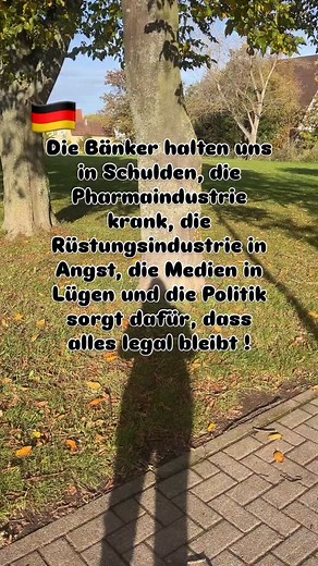 10K views · 2.4K reactions | Wir rackern, zahlen, funktionieren. Ein...