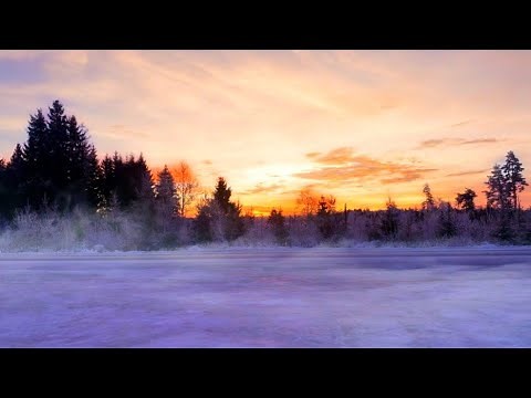 Outdoor Winter Ambience | Winter Wind Sound Effects
