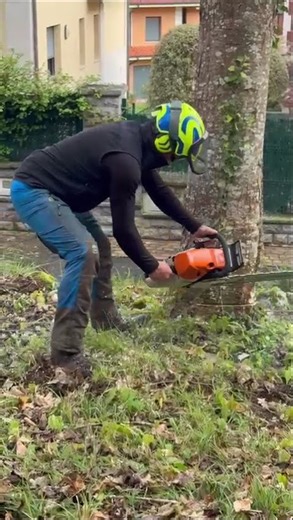 Stihl 462c