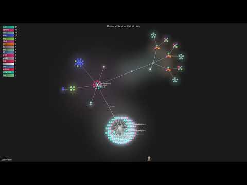 june07/nim - Gource visualisation
