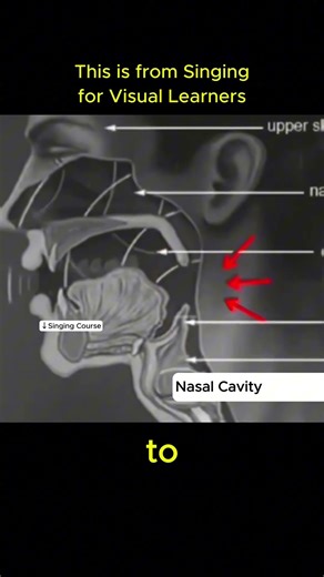 Why Your Voice Sounds Different Every Time