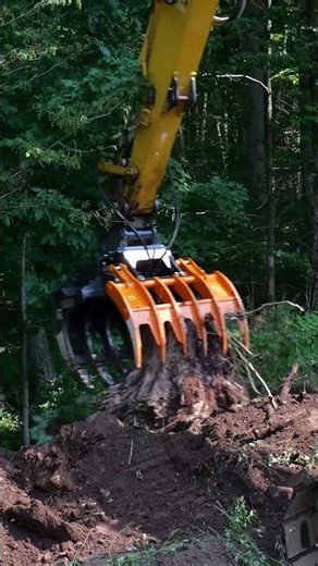 Rake it. Grab it. Move it. 🌳💪