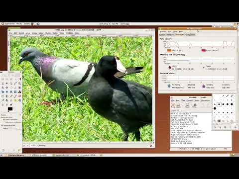 Consume Thy Memory : GIMP on Ubuntu 9.04 AMD64 (VirtualBox)