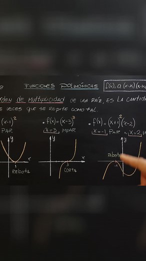 Identifica las Raíces y Aprende a Rebotar