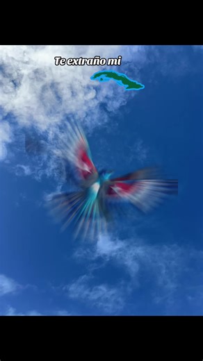 Te extraño mi Cuba bella #paratiiiiiiiiiiiiiiiiiiiiiiiiiiiiiii #cubanosporelmundo🇨🇺 #cubanos #cuba