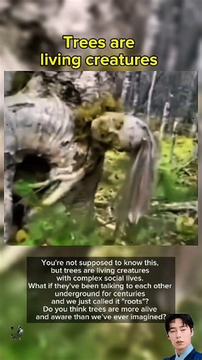 117K views · 1.1K reactions | You're not supposed to know this... but...