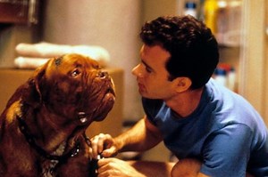 Classic Movies Starring Dogs That Make Actors Look Obsolete