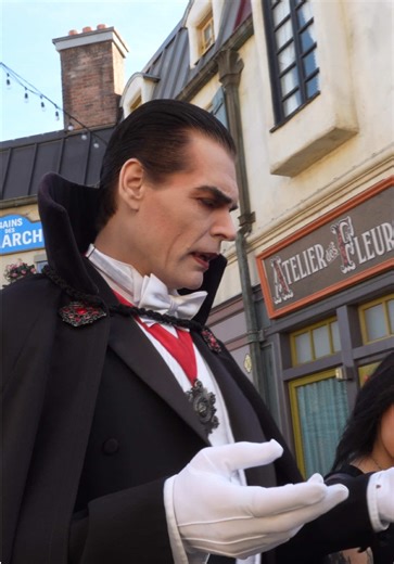 Vampires Ideal Provisions: A Dracula Experience