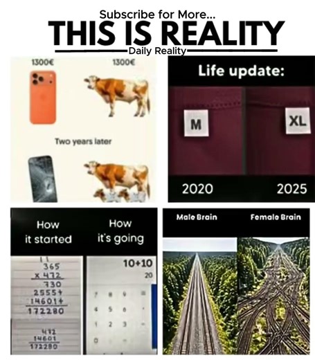THIS IS REALITY 😂 | Modern Life Truths & Relatable Memes