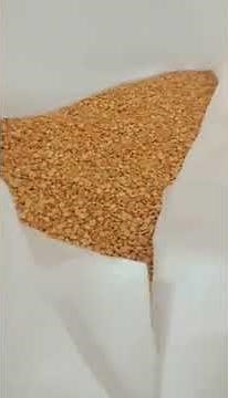 Pea protein extracting process