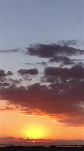 2021 Flowers Song: Con Flores Lyrics and Dance