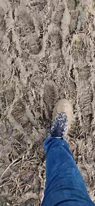 Everyone leaving the ploughing championship.... | Rory's Stories