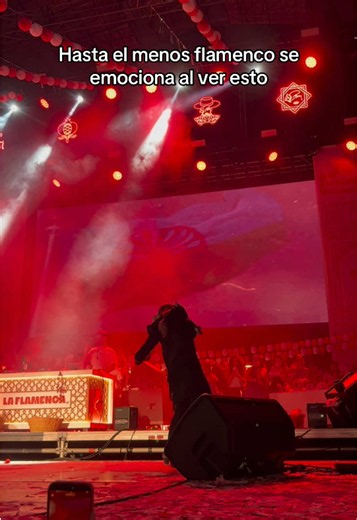 Hasta el menos flamenco se emociona al ver esto - Concierto en Valencia