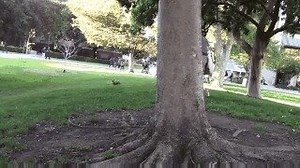 3.5K views · 105 reactions | Love animals like Sammy Spartan does? Got finals week stress? Furry Friends are here to help. Take a break from studying to play with therapy animals! Today at SJSU's King Library, 4th floor, 3-5 p.m. | San Jose State University | Facebook