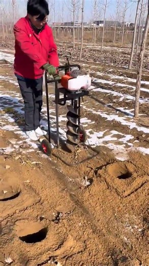 Dig 100 Tree Holes Alone! This Digger Is Awesome