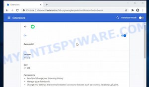 Zip Like a Pro extension (Virus removal guide)