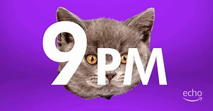 2018 with Alexa, by the hour: at 9pm, we asked Alexa for the nearest Chinese place and made her meow like a cat. #24HoursOfAlexa Learn more: https://amzn.to/2UI8Ynh | Amazon Alexa