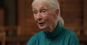 Jane Goodall's message of hope