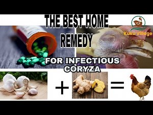 HOW TO USE HOME REMEDIES |LOCAL MEDICINE | TRADITIONAL HERBAL TO TREAT INFECTIOUS CORYZA