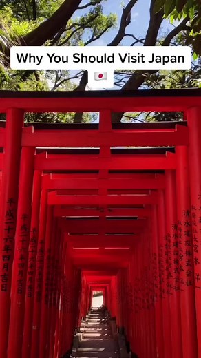 50K views · 943 reactions | Japan: A Visual Guide to the Best Places to Visit  #japan #japantravel #japantrip #travel #tokyo #visitjapan #kyoto #traveljapan #explorejapan #japaneseculture #discoverjapan #japon #japanculture #japanlife #japanlover #ilovejapan #instajapan #osaka #weeb | Allstar Steven | Facebook