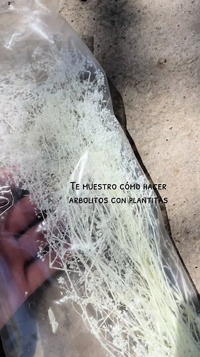 Cómo hacer árboles fáciles para maquetas de arquitectura