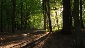 Twitch Streaming Backgrounds, Animated Streaming Background, Overlay Stream, Streaming Backgrounder Vtuber, Lofi Twitch Overlay Background - Etsy UK