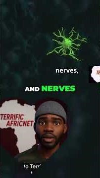 Diabetes Explained: Causes, Risks & Prevention Strategies