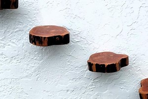 Floating Shelf Live Edge, Small Rustic Wooden Plant Shelf, Live Edge Cedar Wood Wall Shelf, Handcrafted Round Display Shelf, Wall Decor - Etsy