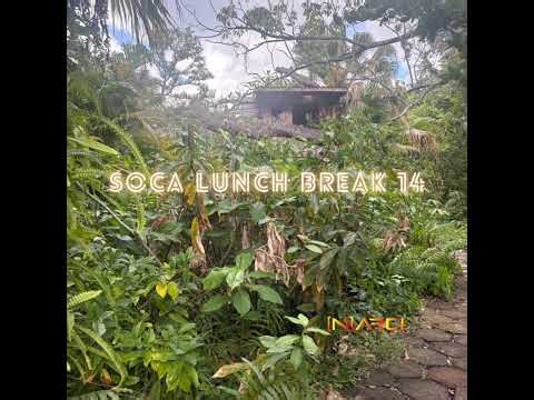 Soca Lunch Break 14 – DJ Narci | Soca 2025 Mix