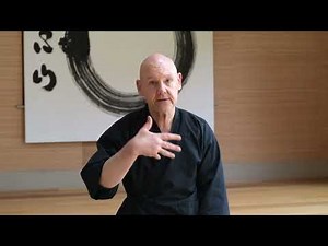 What are Meridian Lines? ~ Q+A with Julian Daizan Skinner