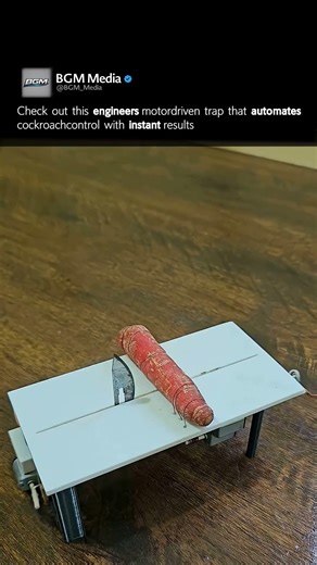 Cockroach Trap is Too Effective 🪳🪤