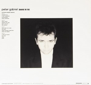 "Shaking the Tree" by Peter Gabriel (ft. Yossou N’Dour) - Song Meanings and Facts