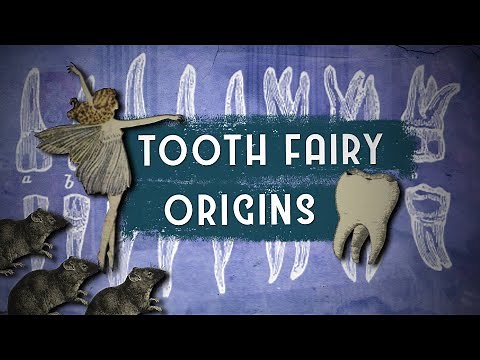 Where Did The Legend Of The Tooth Fairy Come From