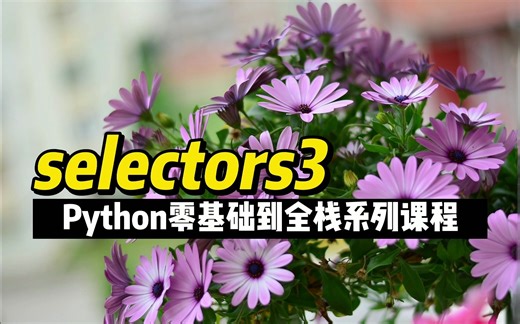 selectors3 - 《Python零基础到全栈系列》