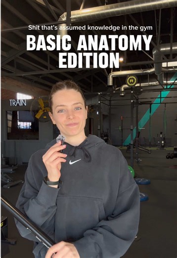 Essential Muscle Knowledge for Gym Beginners