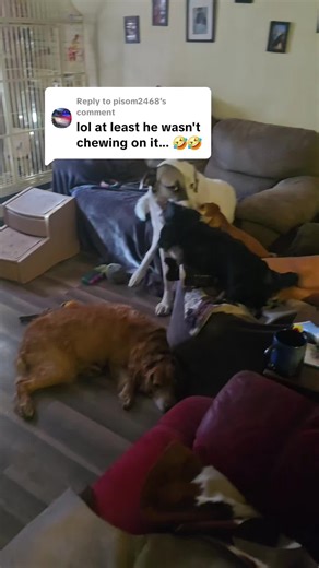 Weird Dental Cleanings Explained