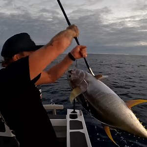 FIELD DAYS GEAR HTTPS://WWW.FIELDDAYSSHOP.COM | Field Days