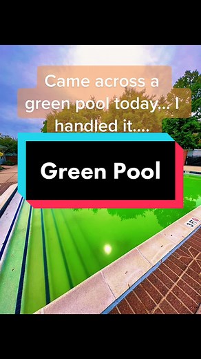 Exploring Green Pools: An Endless Journey with the Pool Boy