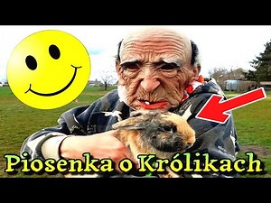 Piosenka o Królikach 2024 Śmieszne Piosenki Króliki Polskie Parodie Disco Polo z Humorem PL