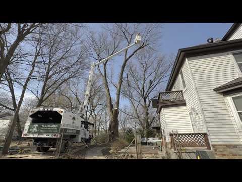 Tight Access Bucket Truck Removal